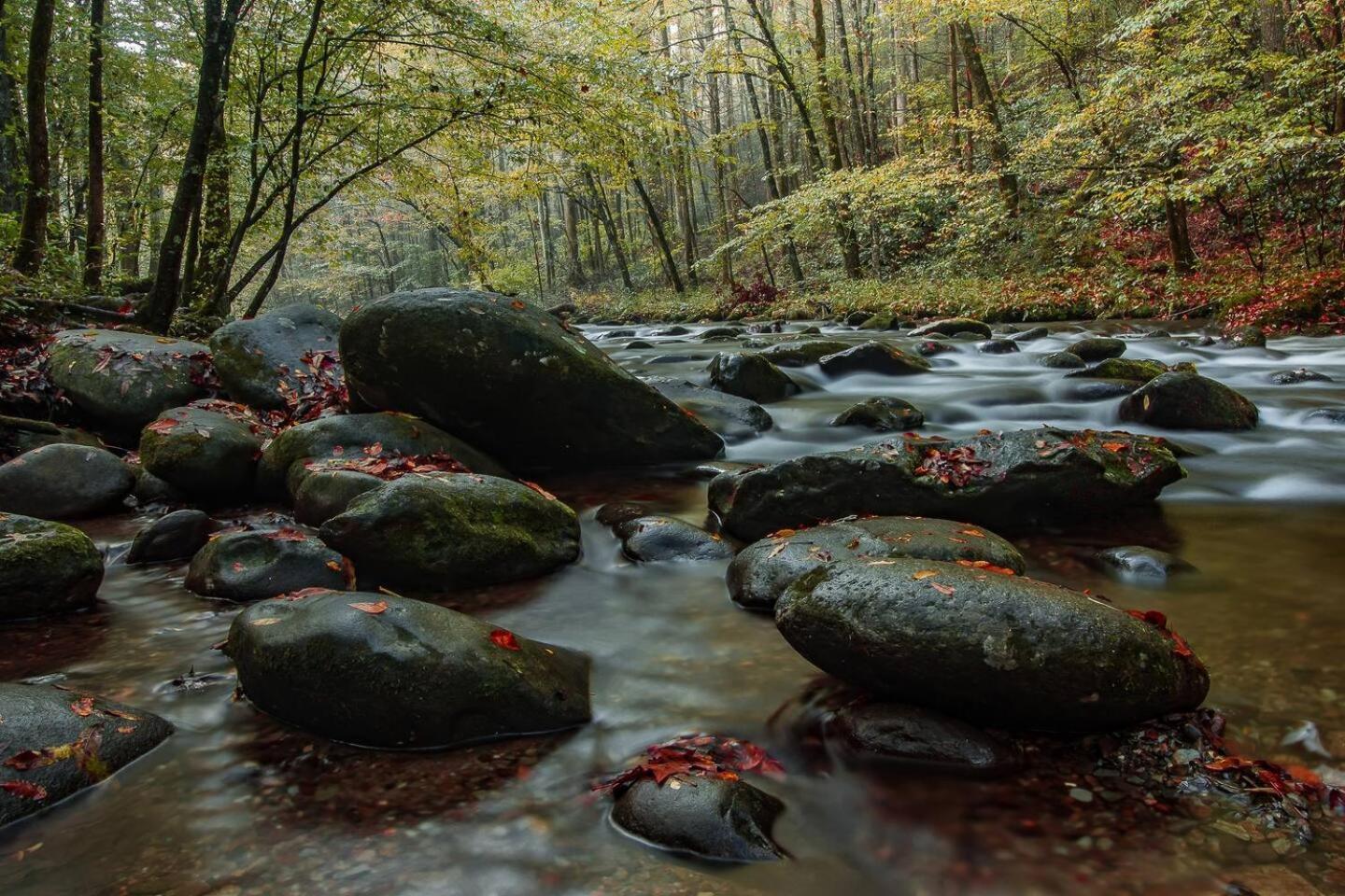 5Br Smoky Cabin Hot Tub, Games, 1 Mi To Parkway Pigeon Forge Ngoại thất bức ảnh