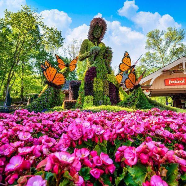 5Br Smoky Cabin Hot Tub, Games, 1 Mi To Parkway Pigeon Forge Ngoại thất bức ảnh